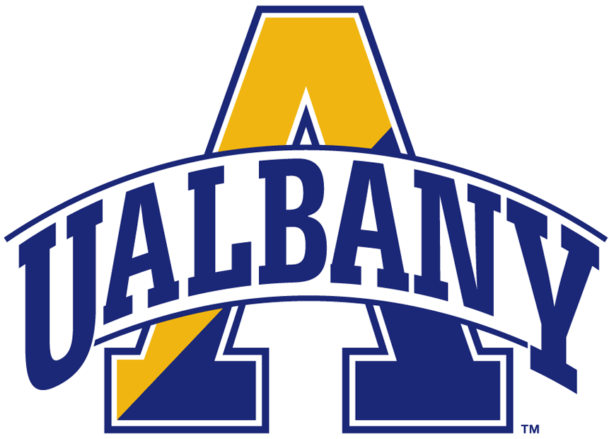 Albany Great Danes 2004-Pres Alternate Logo v6 diy DTF decal sticker